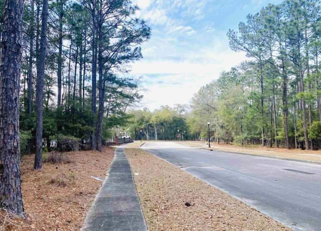 Property at 58 Harmony Township Pineberry Dr, Georgetown, SC 29440