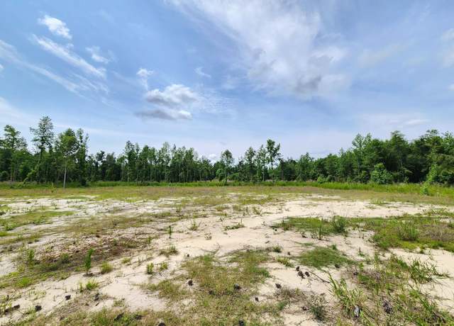 Property at 5375 Long Branch Swamp Rd, Nichols, SC 29581