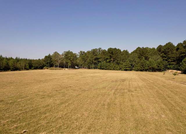 Property at 28+/- Acres-TBD Frank Cribb Rd, Georgetown, SC 29440