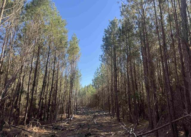 Property at 8862 Ware Dr, Nichols, SC 29581