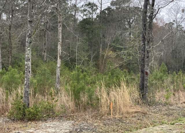 Property at Lot 1 Allsbrook Rd, Loris, SC 29569