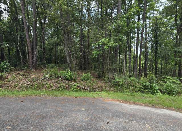 Property at 1051 Irene Ct, Conway, SC 29526