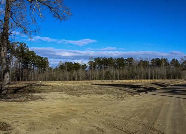 Property at 6221 Ellwood Rd, Galivants Ferry, SC 29544