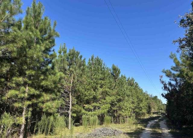 Property at TBD Oakland Rd, Hamer, SC 29547