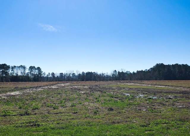 Property at TBD 4 Lot 4 Highway 366, Conway, SC 29526