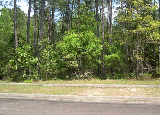 Property at 103 Pineberry Dr, Georgetown, SC 29440