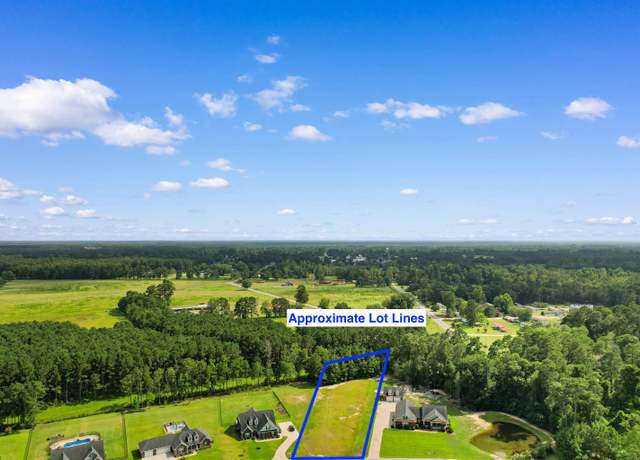 Property at TBD Farm Trac Dr, Galivants Ferry, SC 29544