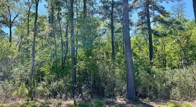 Photo of Hamp Rd, Marion, SC 29571