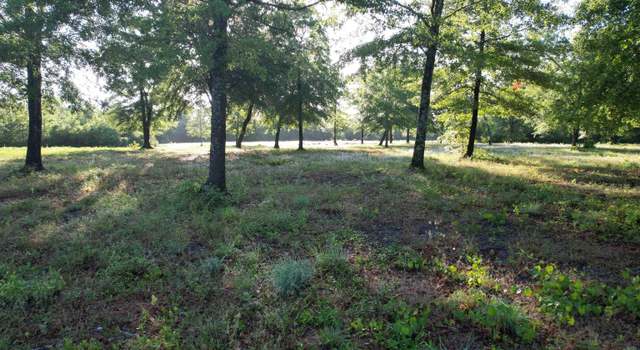 Photo of 10 Acres - TBD Cohen Dr, Hemingway, SC 29554