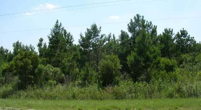 Photo of TRACT A Highway 9, Green Sea, SC 29545