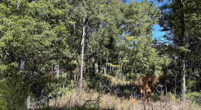 Photo of TBD Hanna Loop Rd, Hemingway, SC 29554