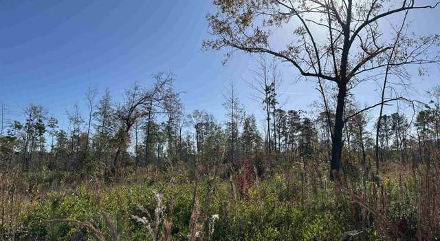Photo of 18+/- Acres TBD Epps Rd, New Zion, SC 29111