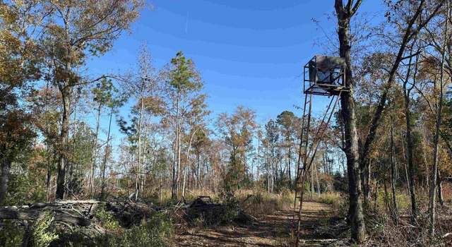Photo of 25+/- Acres TBD Corner Rd, New Zion, SC 29111