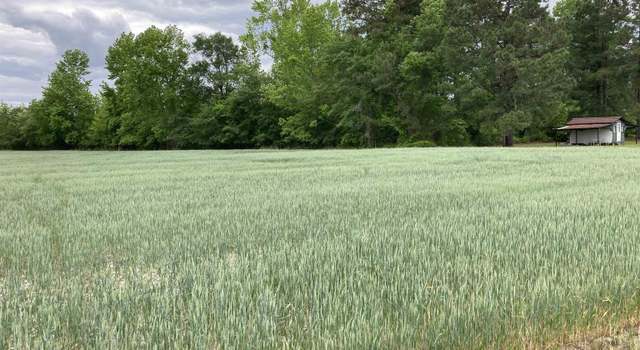 Photo of TBD Grant Dr, Pamplico, SC 29583