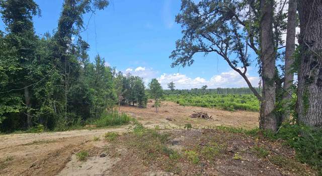 Photo of 157 Mingo Chandler Rd, Nesmith, SC 29580