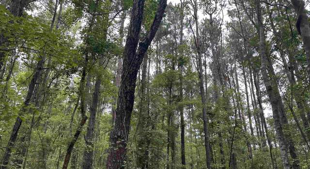 Photo of 2 Acres-TBD Highway 41, Centenary, SC 29519