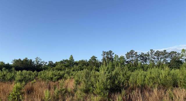 Photo of 10 Acres-TBD Old Pee Dee Rd, Hemingway, SC 29554
