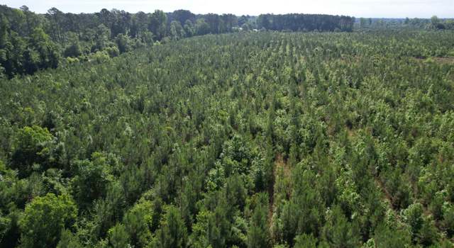 Photo of 20 Acres - TBD Highway 260, Manning, SC 29102