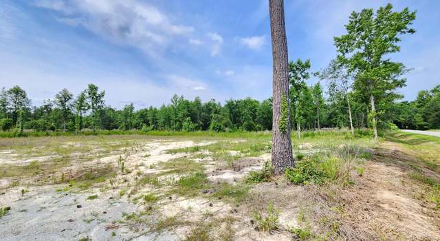 Photo of 5375 Long Branch Swamp Rd, Nichols, SC 29581
