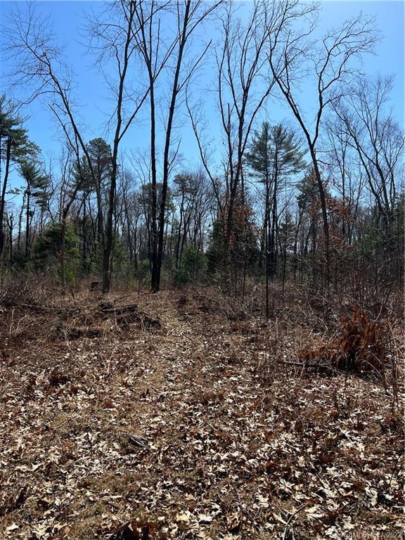 Enfield, CT Patch News, Events, Weather and Local Topics