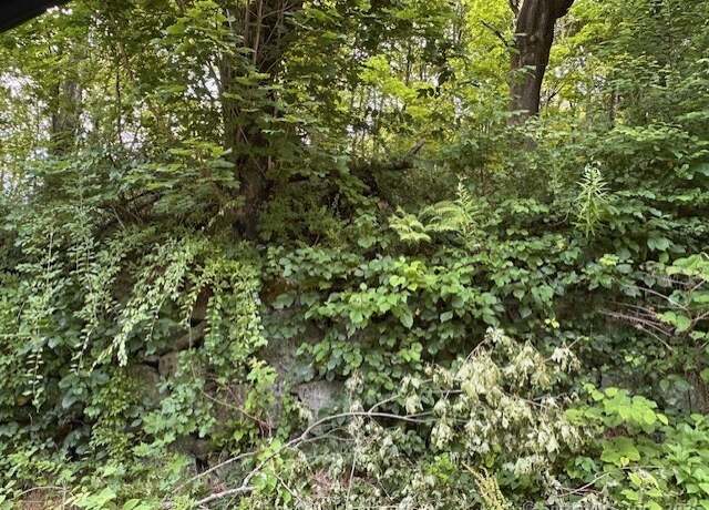 Property at 125 Talman St, Norwich, CT 06360