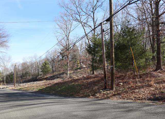 Property at 190 Blueberry Hill Rd, Bridgewater, CT 06752