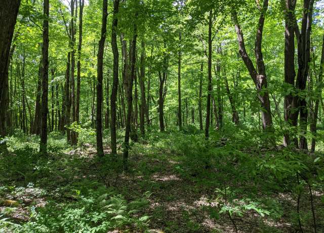 Property at 00 Old Homestead Ln, Kent, CT 06785