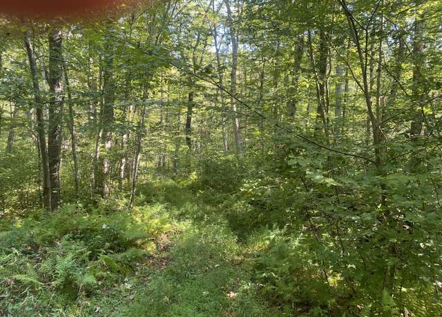 Property at 00 Sarah Pearl Rd, Hampton, CT 06247