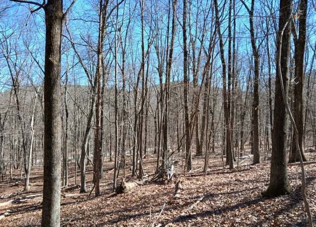 Property at Sherman Rd, New Milford, CT 06776