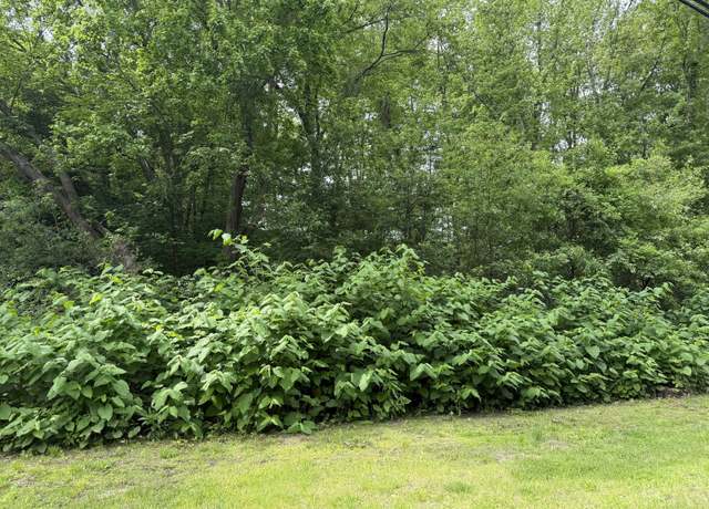 Property at 2 Sandra Ave, Plymouth, CT 06786
