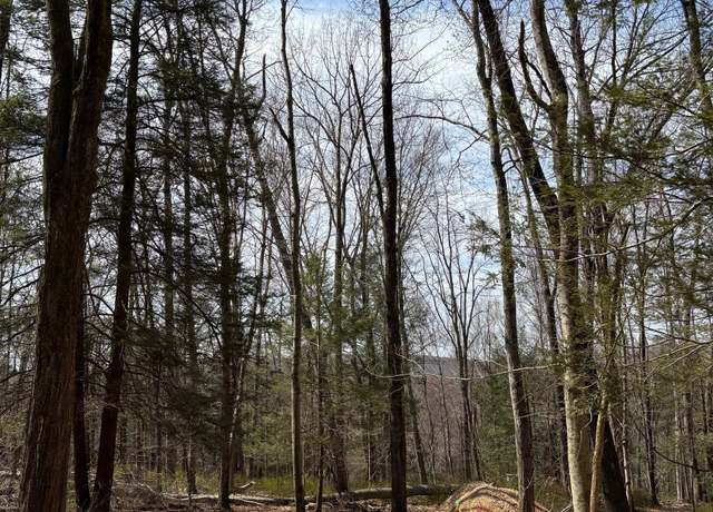 Property at Lot 00 Chalybes Rd W, Roxbury, CT 06783