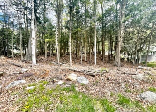 Property at 256 Colebrook Rd, Winchester, CT 06098