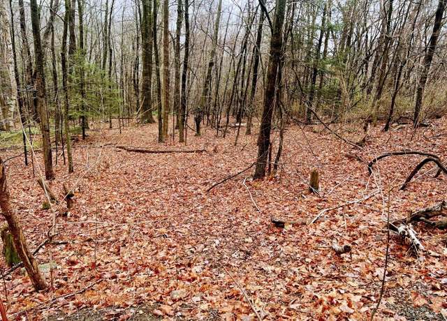 Property at 14 Fyler Rd, Hartland, CT 06027
