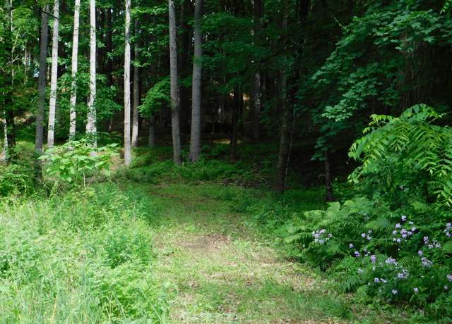 Property at 215 Taconic Rd, Salisbury, CT 06068