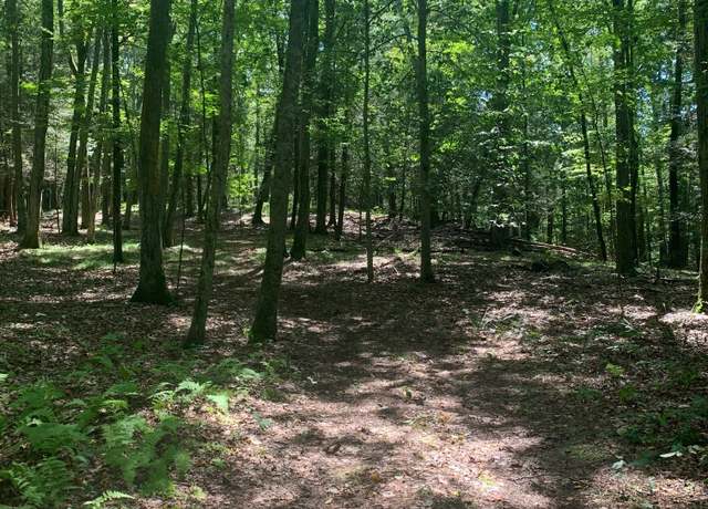 Property at Lot 1 Chalybes Rd W, Roxbury, CT 06783