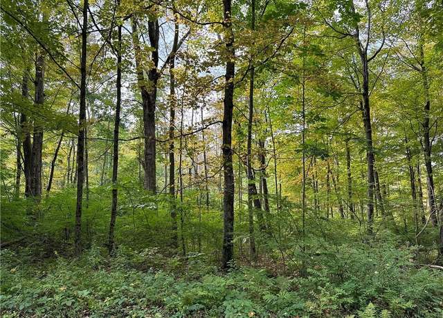 Property at 0 Lake Rd, Warren, CT 06754