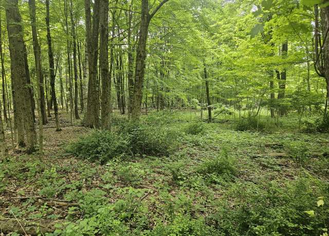 Property at 0 Taylor Rd, New Milford, CT 06776