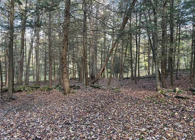 Property at 0 Wellers Bridge Rd, Roxbury, CT 06783