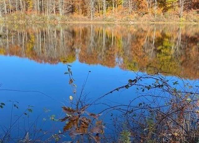 Property at 0 Reservoir Rd And Pie Hill Rd Rd, Goshen, CT 06756