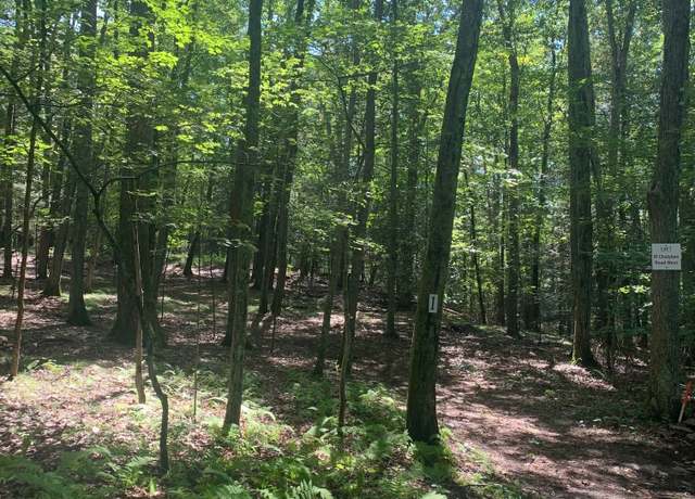 Property at Lot 2 Chalybes Rd W, Roxbury, CT 06783