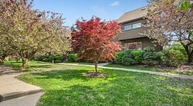 Photo of 455 Hope St Apt 1B, Stamford, CT 06906