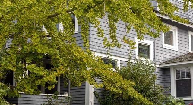 Photo of 195 Kings Hwy, Milford, CT 06460