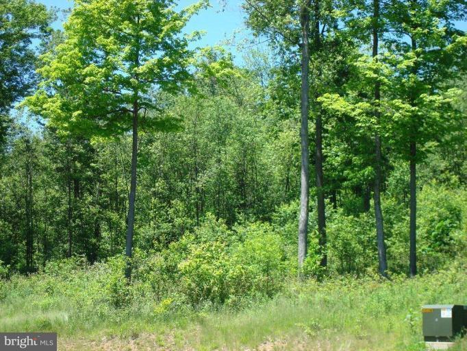 Lot 48 Glenwood Cir, Swanton, MD 21561 | MLS# 1004766170 | Redfin