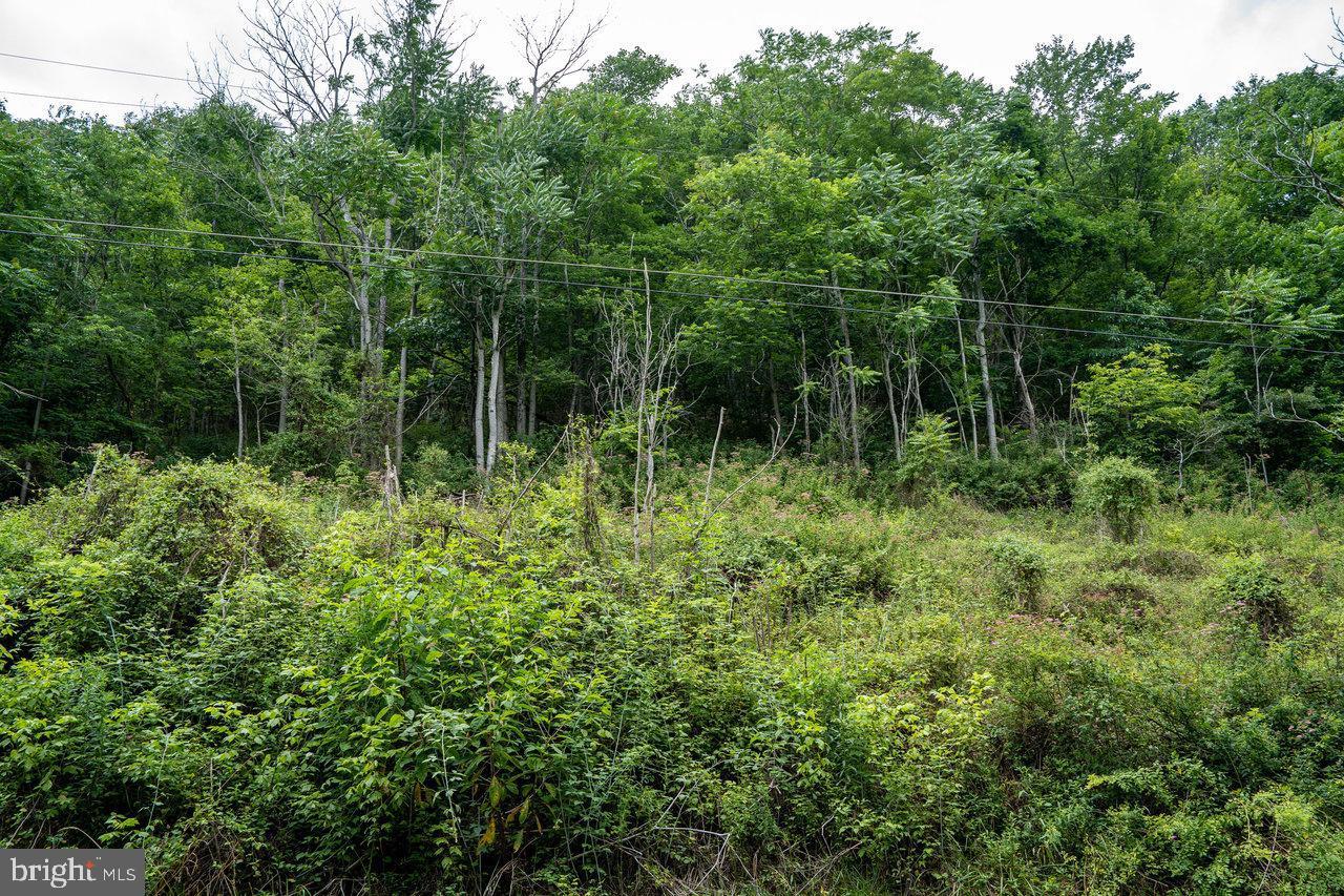 LOT 11B Lucas Hollow Rd, Stanley, VA 22851 MLS VAPA2002438 Redfin