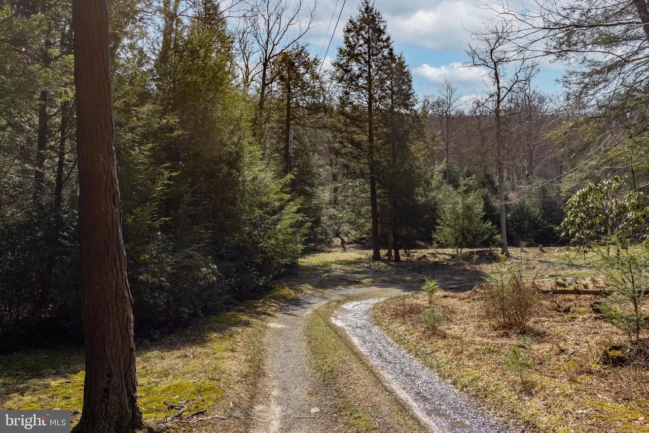 LOT ON Elmos Ln, Spring Mills, PA 16875 | MLS# PACE2509554 | Redfin