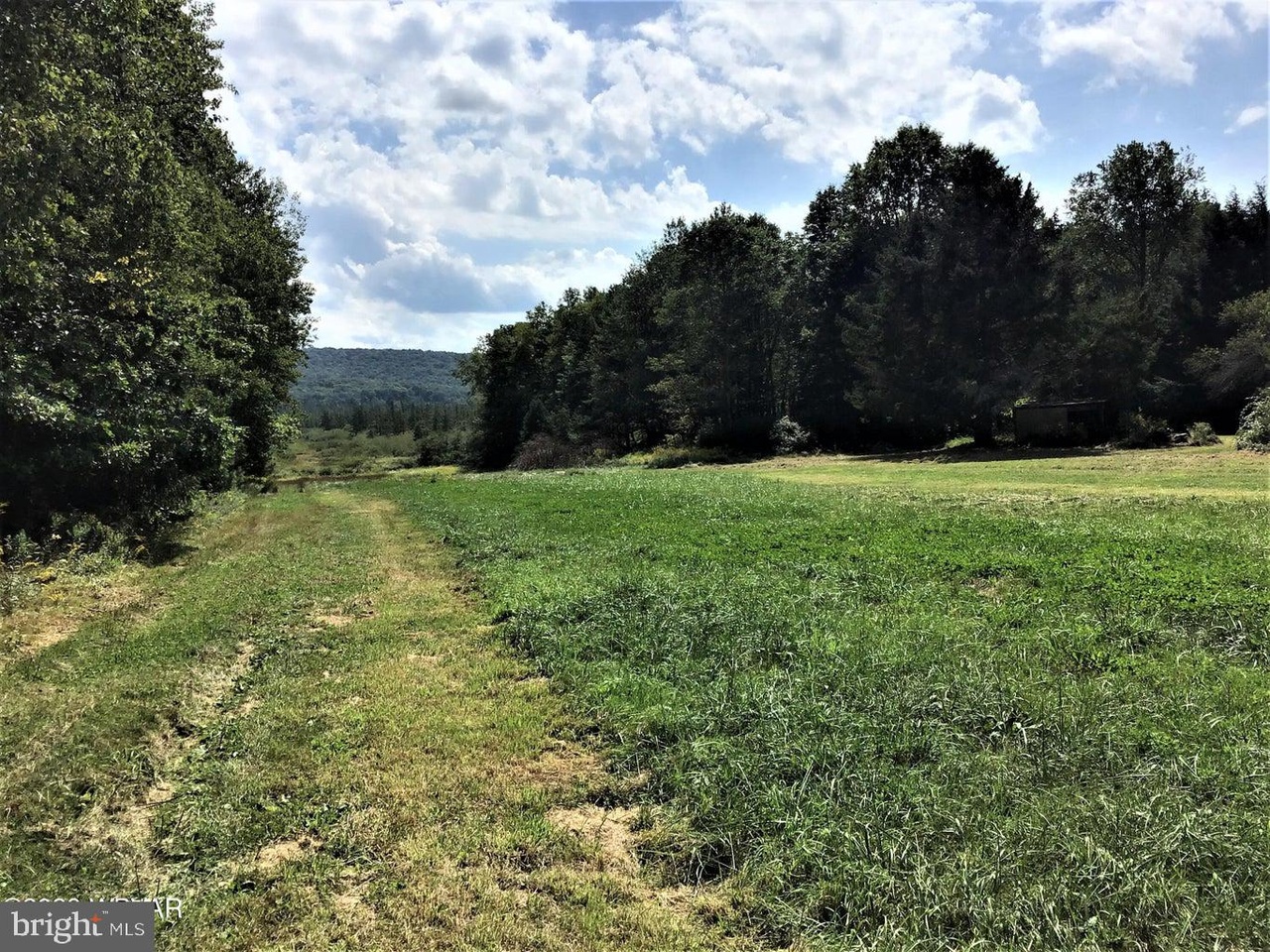 164 Stewart Hill Rd, Cross Fork, PA 17729 | MLS# PACL2024562 | Redfin