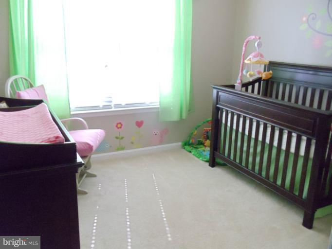 sq bassinet