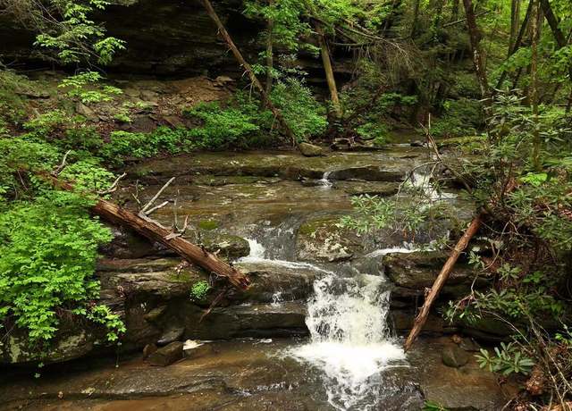 Property at 0 Pine Grv, Athens, WV 24712