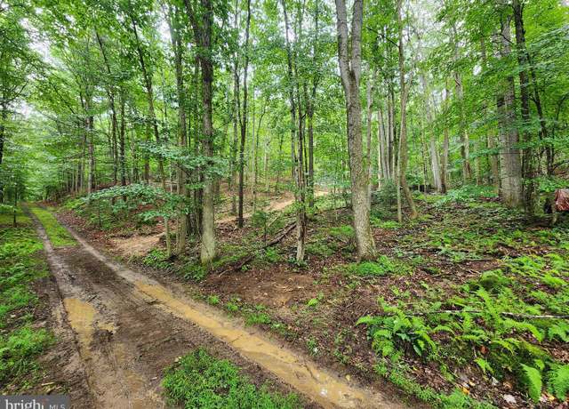 Property at LOT 16-A Wits End, Mathias, WV 26812
