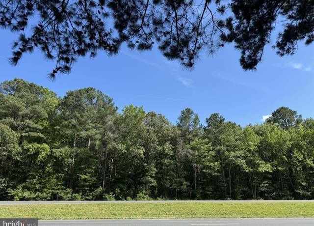 Property at Lots 76, 76B and 76C Lankford Hwy, Accomac, VA 23301